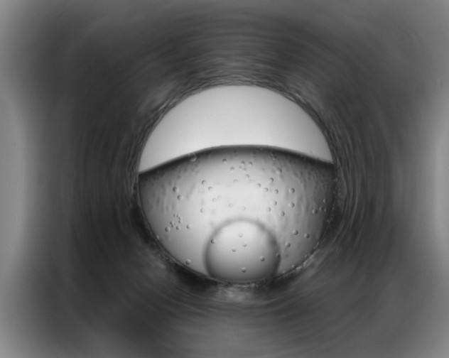 X0000087310078200704200727