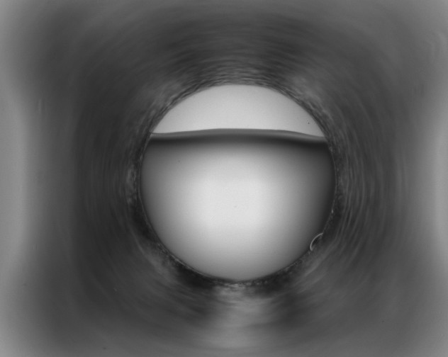 X0000087310079200704200727