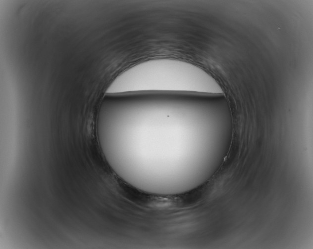 X0000087310083200704200727