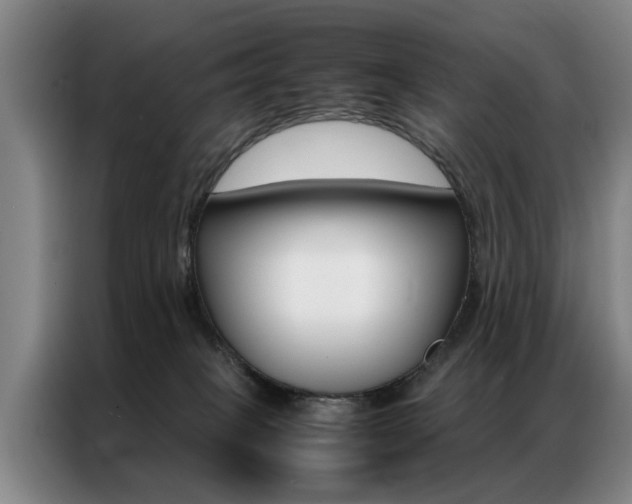 X0000087310085200704200727