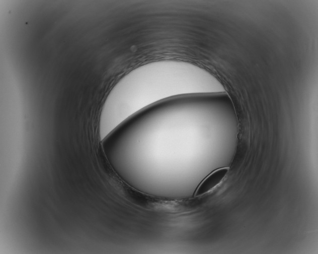X0000087310086200704200727