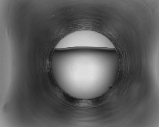 X0000087310087200704200727