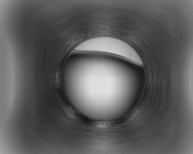 X0000087310088200704200727