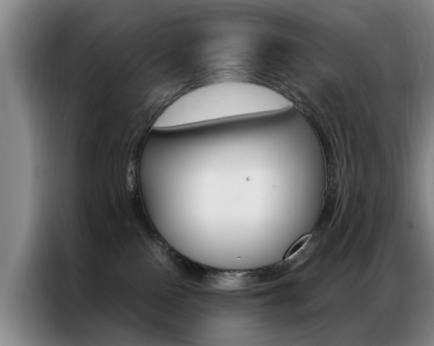 X0000087310090200704200727