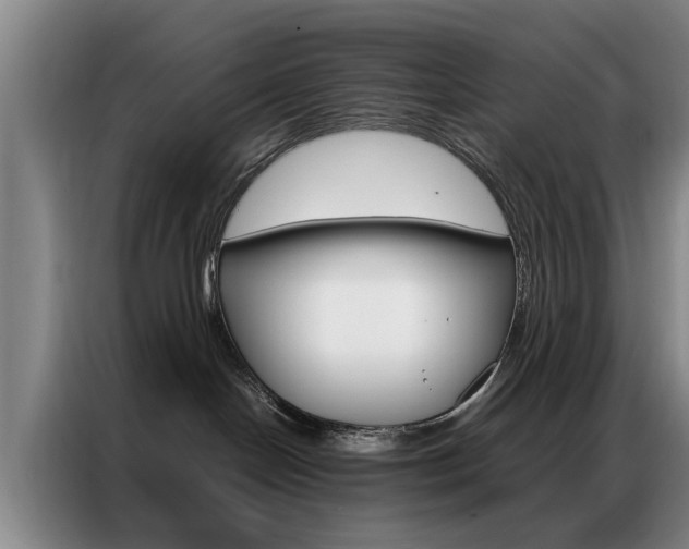 X0000087310094200704200727