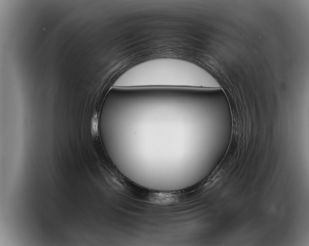 X0000087310095200704200727