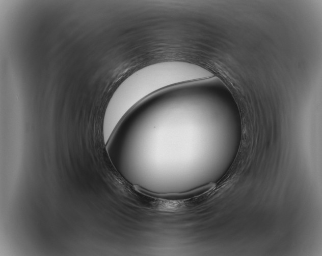 X0000087310096200704200727