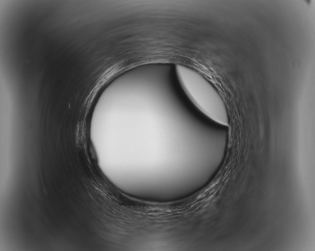 X0000087310099200704200726