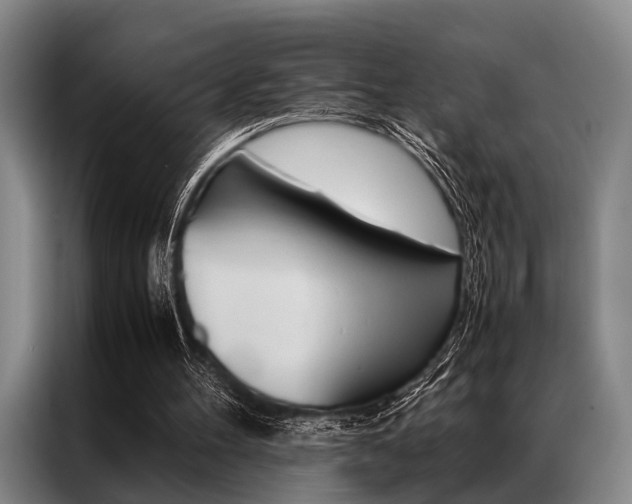 X0000087310100200704200726