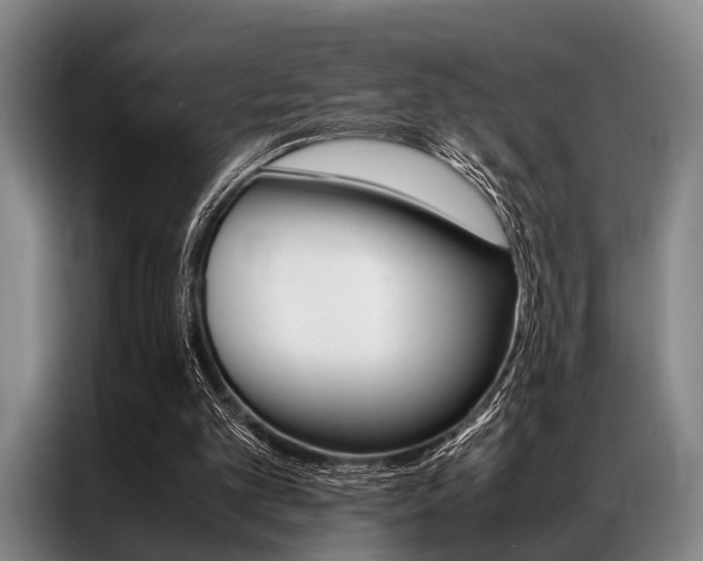 X0000087310101200704200726