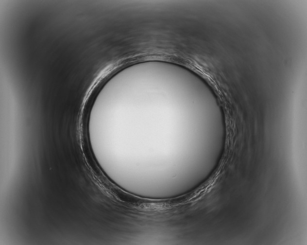 X0000087310102200704200726