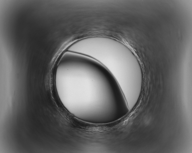 X0000087310103200704200726