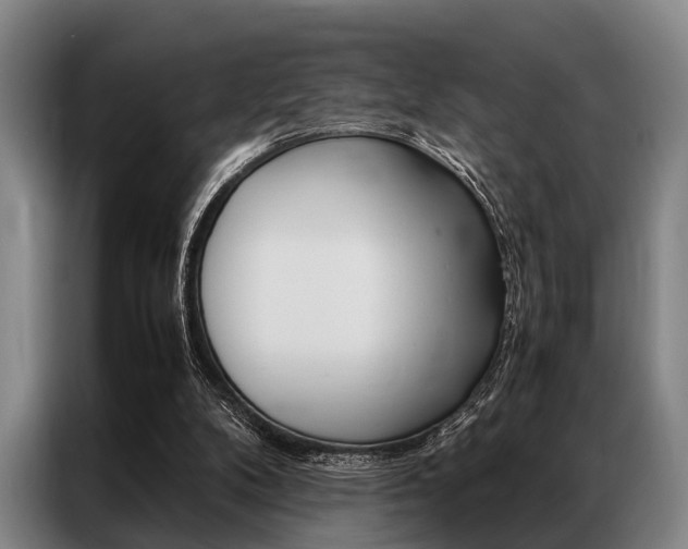 X0000087310104200704200726