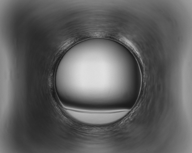 X0000087310105200704200726