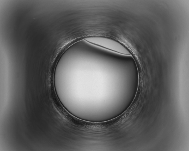 X0000087310107200704200726