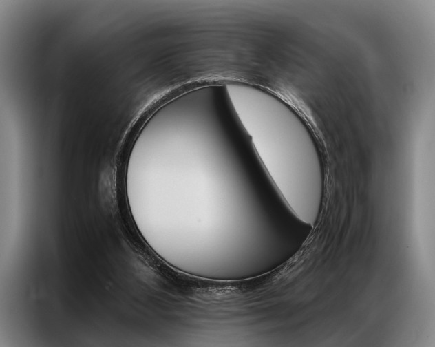 X0000087310108200704200726