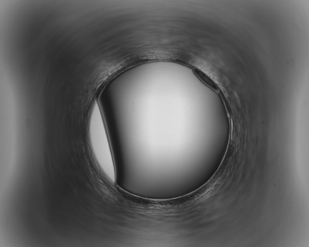 X0000087310109200704200726