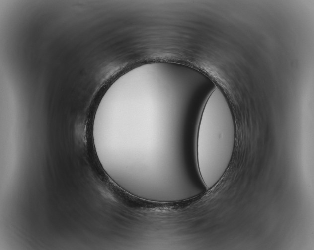 X0000087310112200704200726