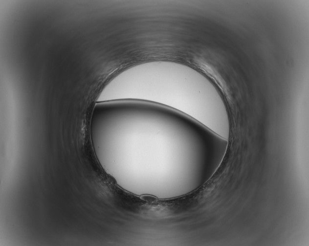 X0000087310113200704200726