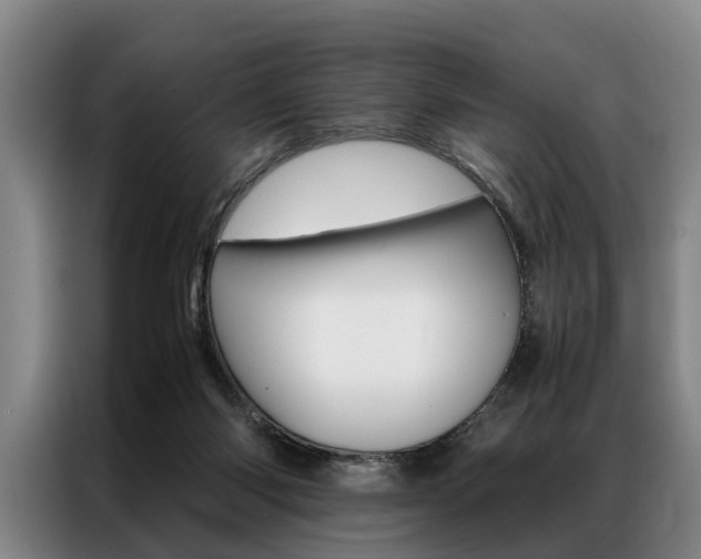 X0000087310118200704200726