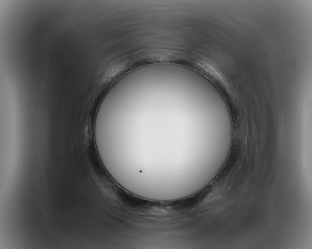 X0000087310119200704200726