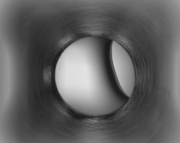 X0000087310120200704200726