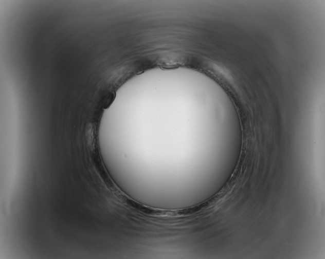 X0000087310121200704200726