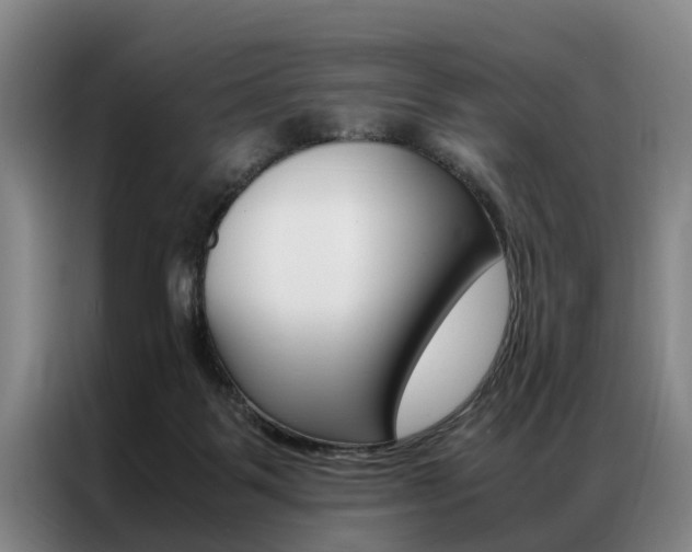 X0000087310123200704200726