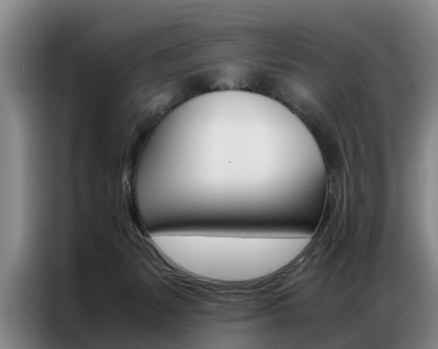 X0000087310127200704200726
