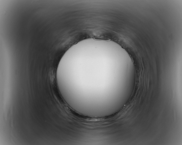 X0000087310129200704200726