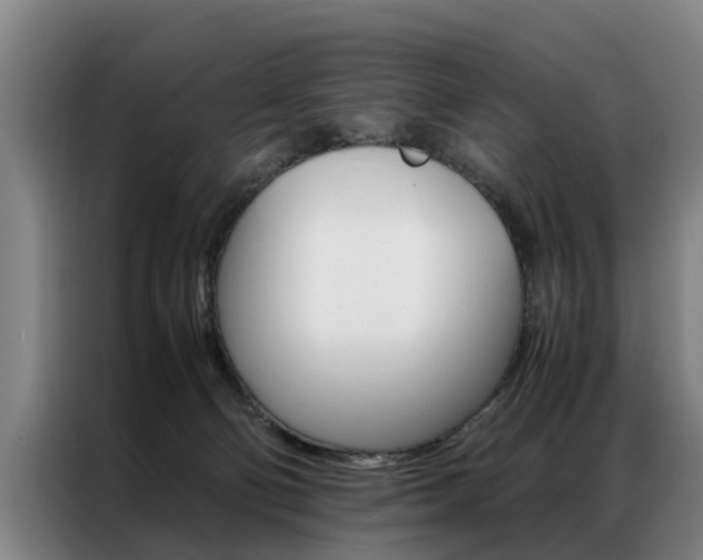 X0000087310130200704200726