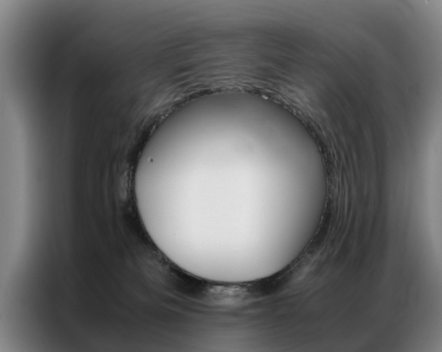 X0000087310133200704200726