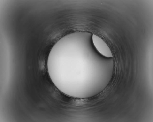 X0000087310134200704200726