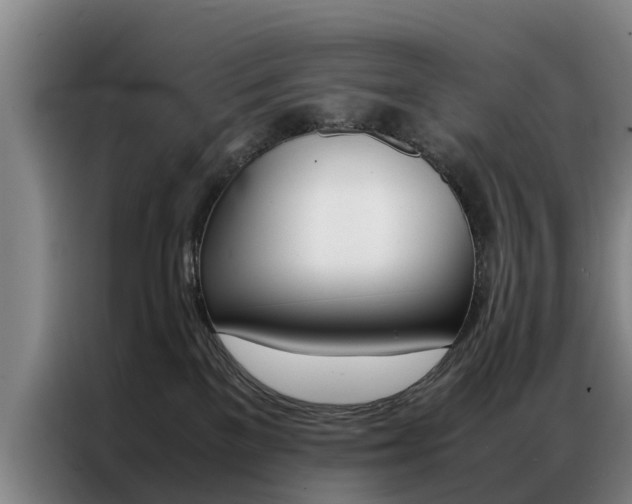 X0000087310137200704200726