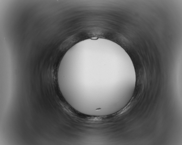 X0000087310140200704200726
