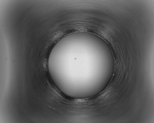 X0000087310141200704200726