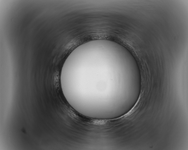 X0000087310144200704200726