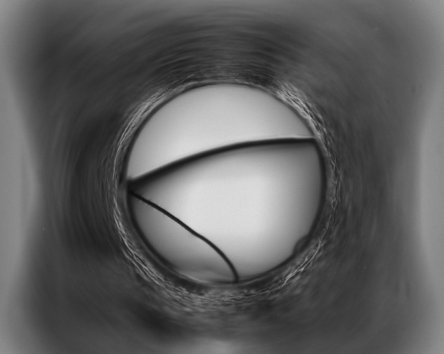 X0000087310145200704200725