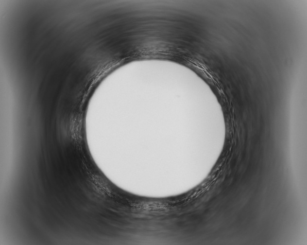 X0000087310146200704200725