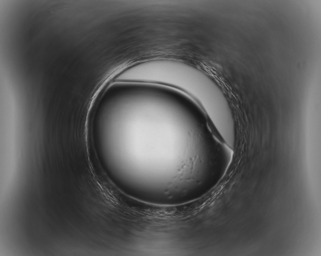 X0000087310148200704200725