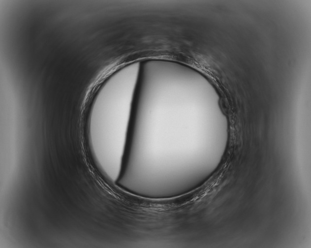 X0000087310149200704200725