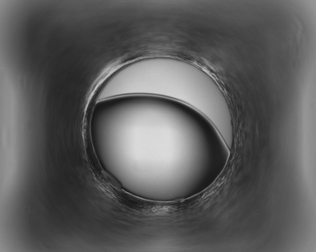 X0000087310152200704200725