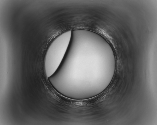 X0000087310153200704200725