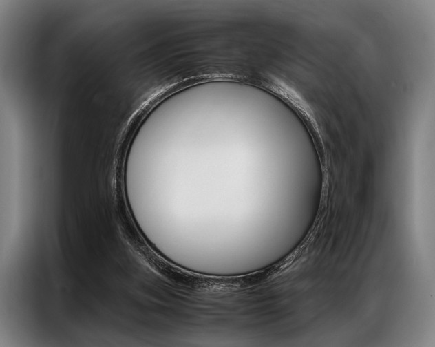 X0000087310155200704200725