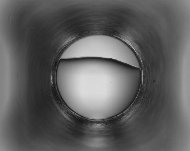 X0000087310157200704200725