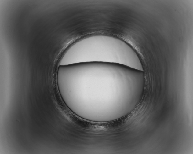 X0000087310159200704200725