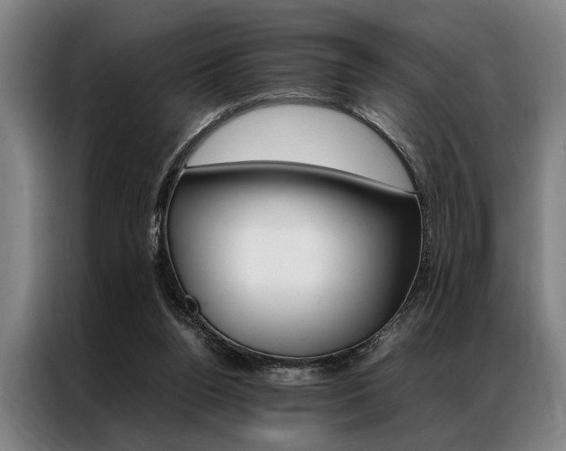 X0000087310160200704200725