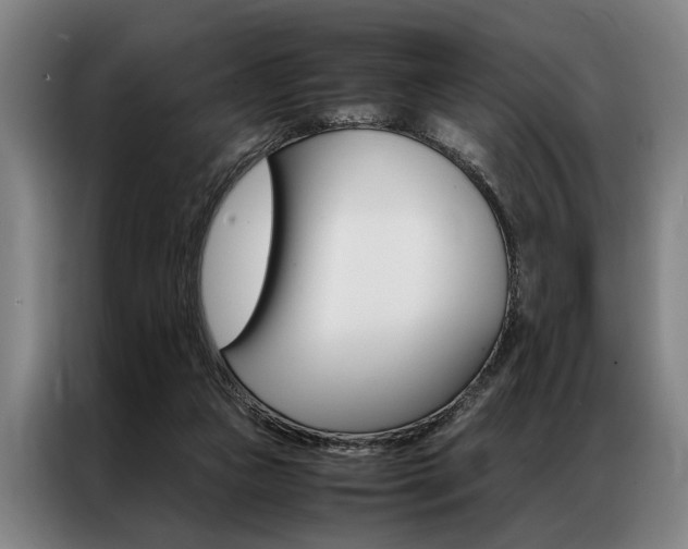 X0000087310161200704200725