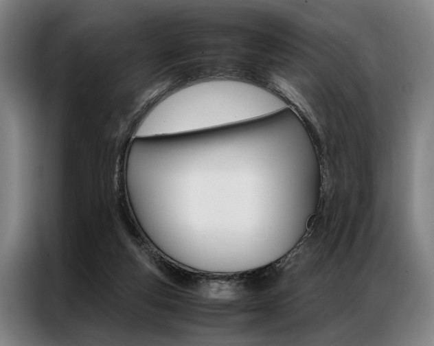 X0000087310163200704200725