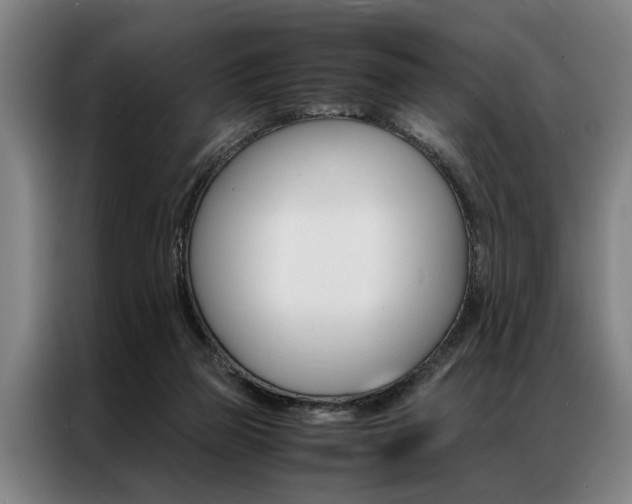 X0000087310165200704200725